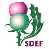 SDEF Logo